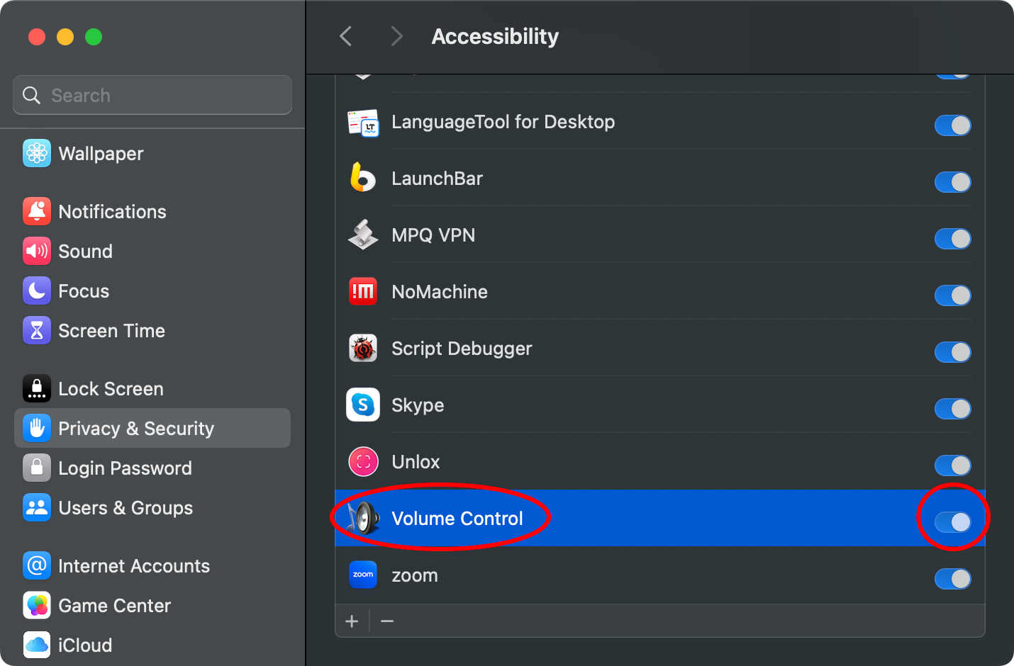 Screenshot of Accessibility
